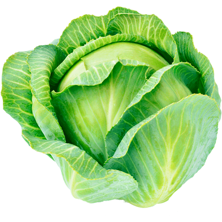 One Live Stock Suppliers